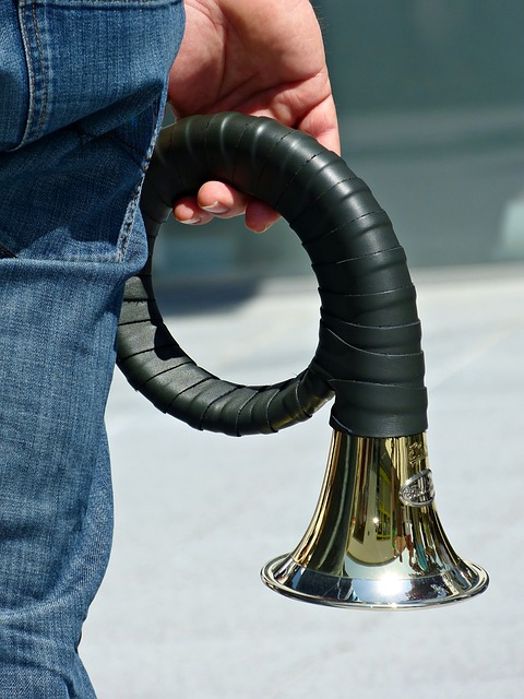 - Vybíráme ten nejlepší lovecký nástroj pro uspokojení kočičího instinktu