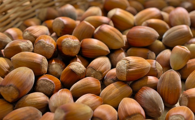 Způsob života a biologie lišky obecné – fascinující poznatky