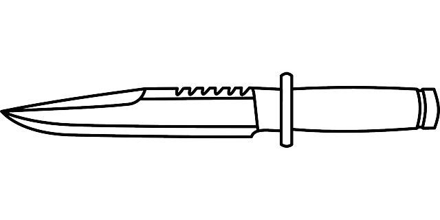 Rozlišujeme lovecké zbraně podle ráže a účelu využití