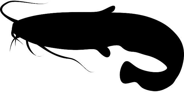 6. Provoz vábničky: Tipy, jak správně vyhledávat a sledovat sumce