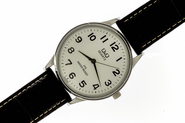 - Opatrné probuzení: Co byste měli vědět o procesu probouzení pand po zakončení zimního spánku