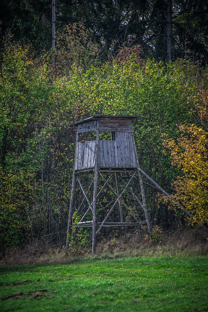 Historie zámku Opočno: Vývoj a význam myslivosti a lovu