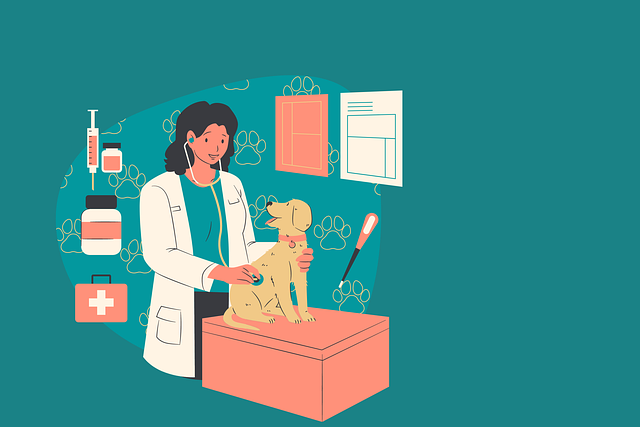 Profesionální veterinární péče v Dačicích: Kde najít kvalitní služby pro vaše mazlíčky?