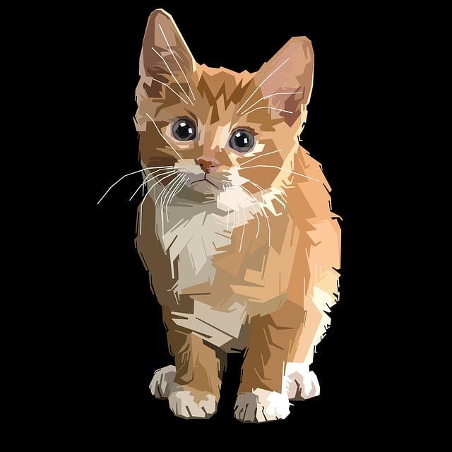 Černá zvěř doba lovu: Lov této zvěře 4 - Nejlepší vybavení pro lov Černé zvěře: Doporučení a rady