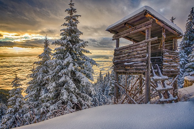 8. ‌Lovecká turistika a vzdělávání: Propagace a ​přenos dovedností‍ pro budoucí generace